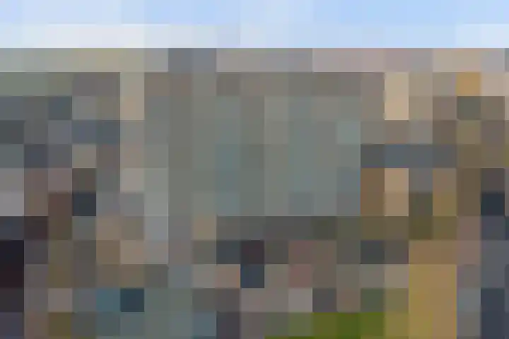 Sweelinckplein 58 's-Hertogenbosch thumbnail 27