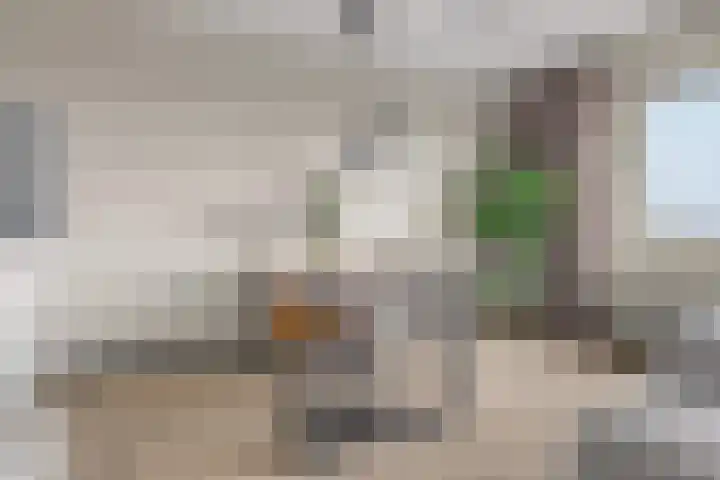 Sweelinckplein 58 's-Hertogenbosch thumbnail 6