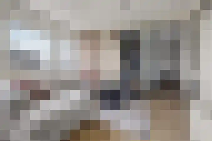 Sweelinckplein 58 's-Hertogenbosch thumbnail 8