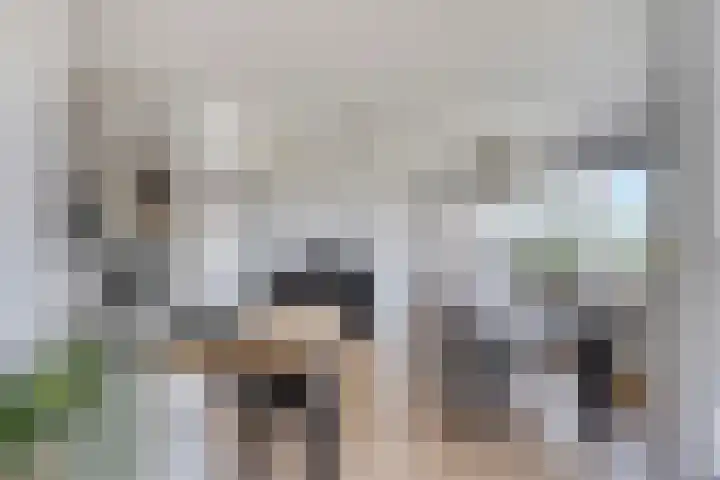 Sweelinckplein 61 's-Hertogenbosch thumbnail 10