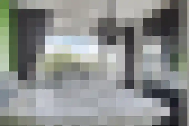 Sweelinckplein 61 's-Hertogenbosch thumbnail 16