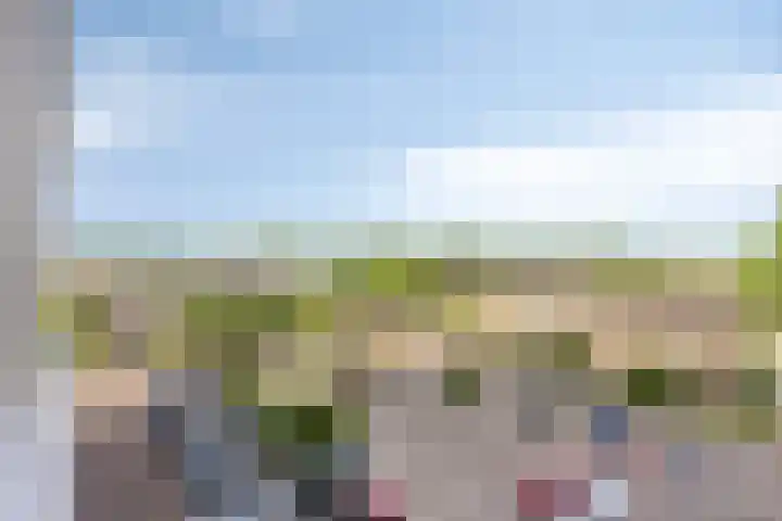Sweelinckplein 61 's-Hertogenbosch thumbnail 19