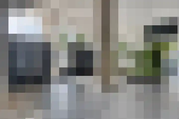 Sweelinckplein 61 's-Hertogenbosch thumbnail 21