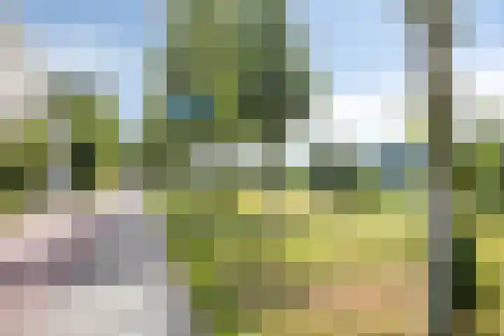 Sweelinckplein 61 's-Hertogenbosch thumbnail 23