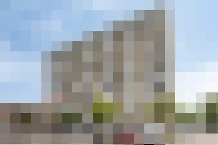 Sweelinckplein 61 's-Hertogenbosch thumbnail 27