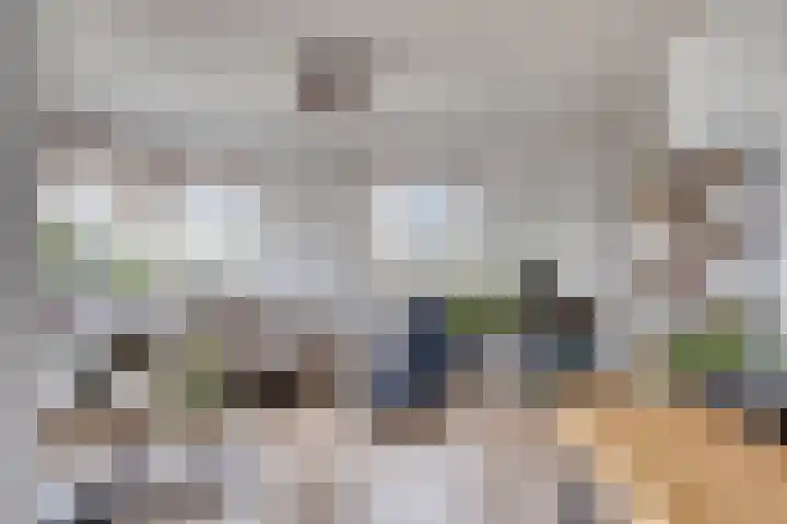 Sweelinckplein 61 's-Hertogenbosch thumbnail 4