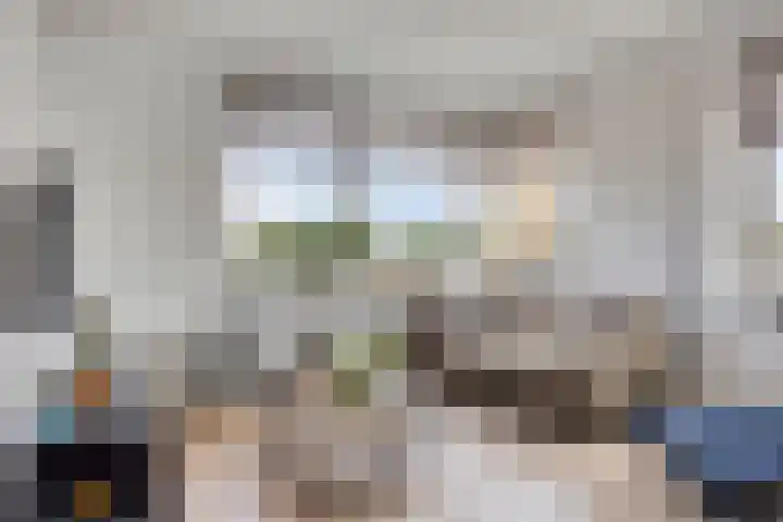 Sweelinckplein 61 's-Hertogenbosch thumbnail 5