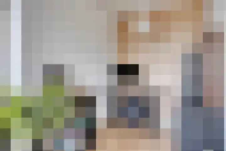 Sweelinckplein 61 's-Hertogenbosch thumbnail 7