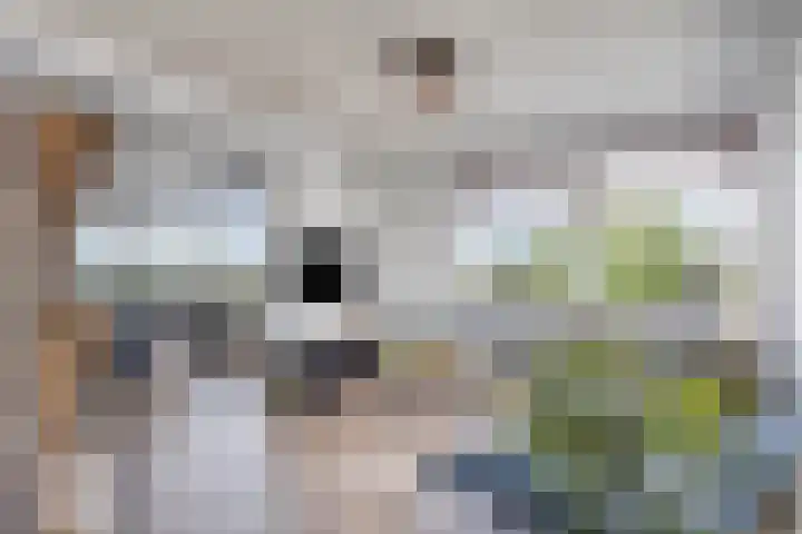 Sweelinckplein 61 's-Hertogenbosch thumbnail 8