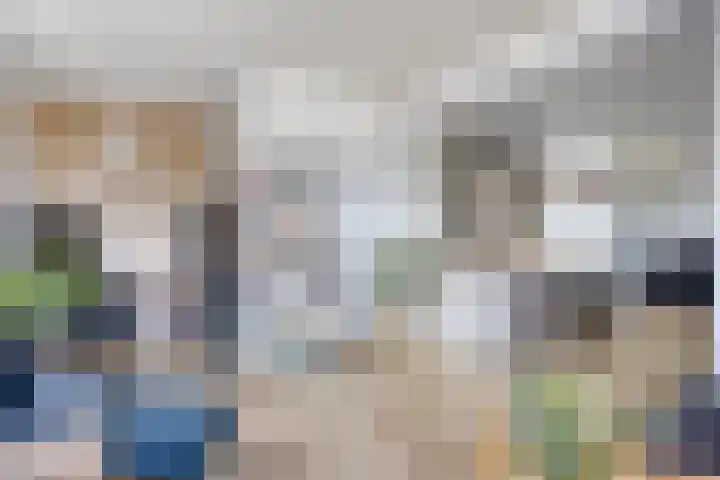 Sweelinckplein 61 's-Hertogenbosch thumbnail 9