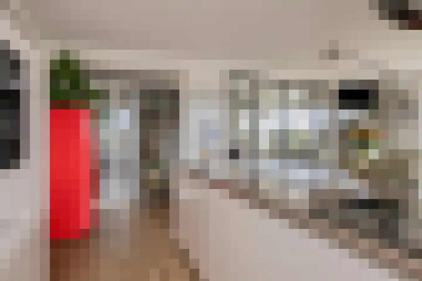 Sweelinckplein 65 's-Hertogenbosch thumbnail 11