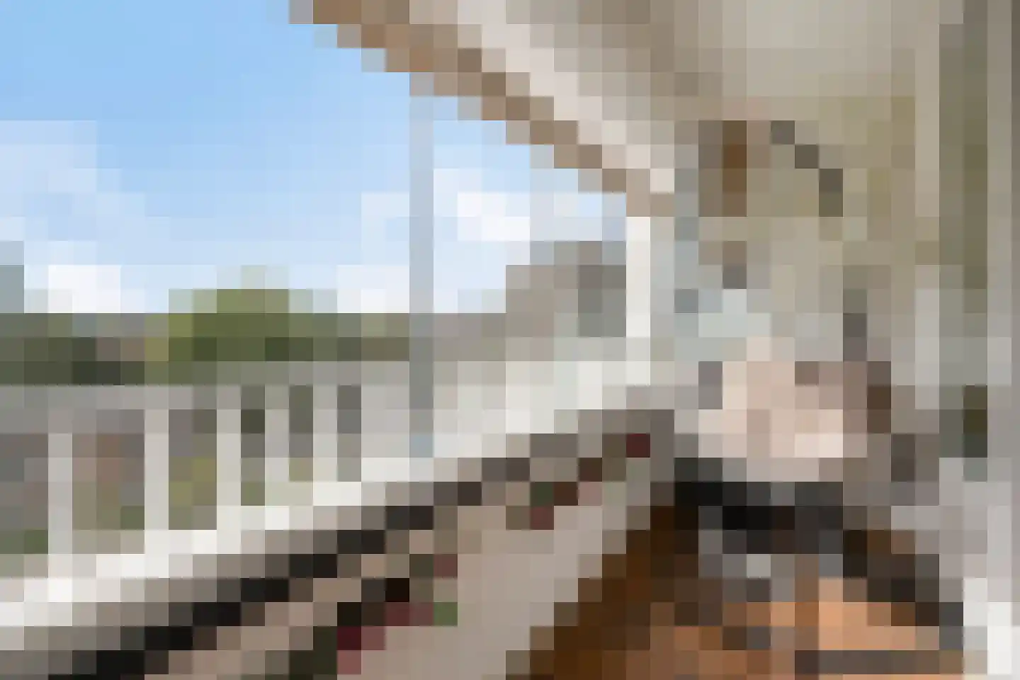 Sweelinckplein 65 's-Hertogenbosch thumbnail 21
