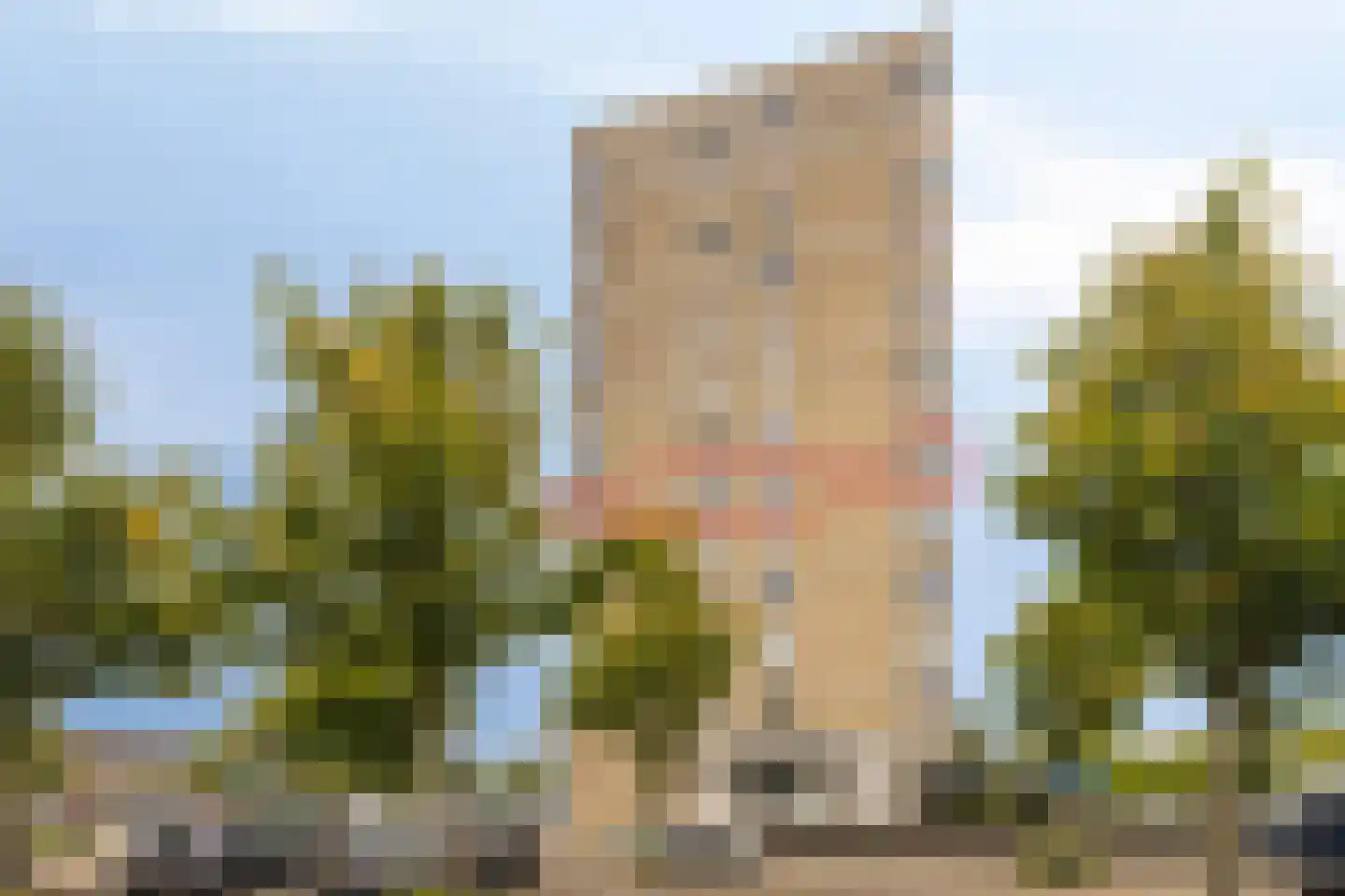 Sweelinckplein 65 's-Hertogenbosch thumbnail 29