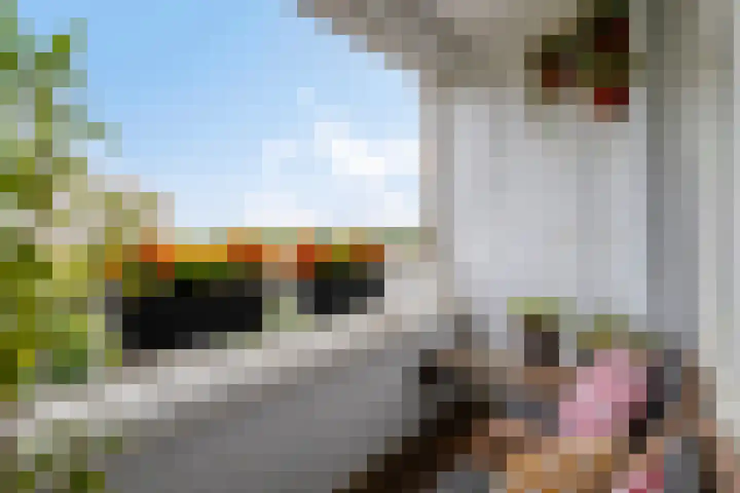Sweelinckplein 65 's-Hertogenbosch thumbnail 7