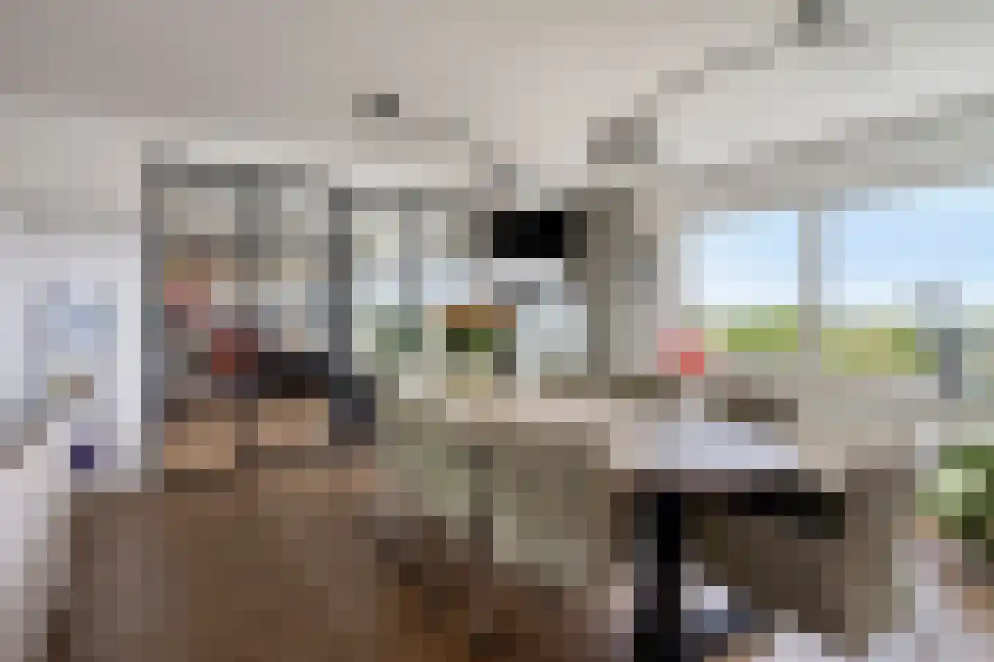 Sweelinckplein 65 's-Hertogenbosch thumbnail 8