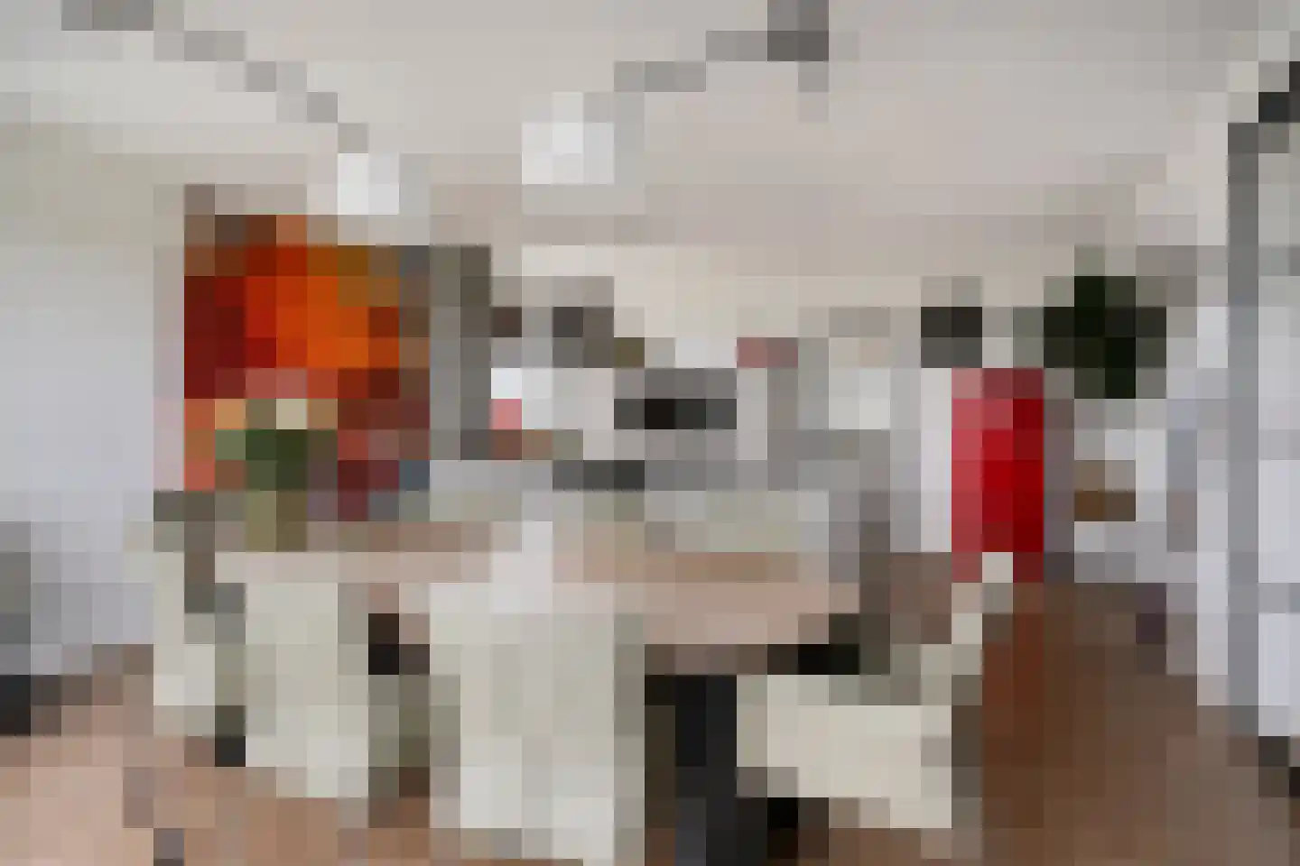 Sweelinckplein 65 's-Hertogenbosch thumbnail 9