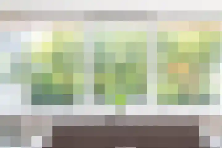 Sweelinckplein 72 Alphen aan den Rijn thumbnail 8