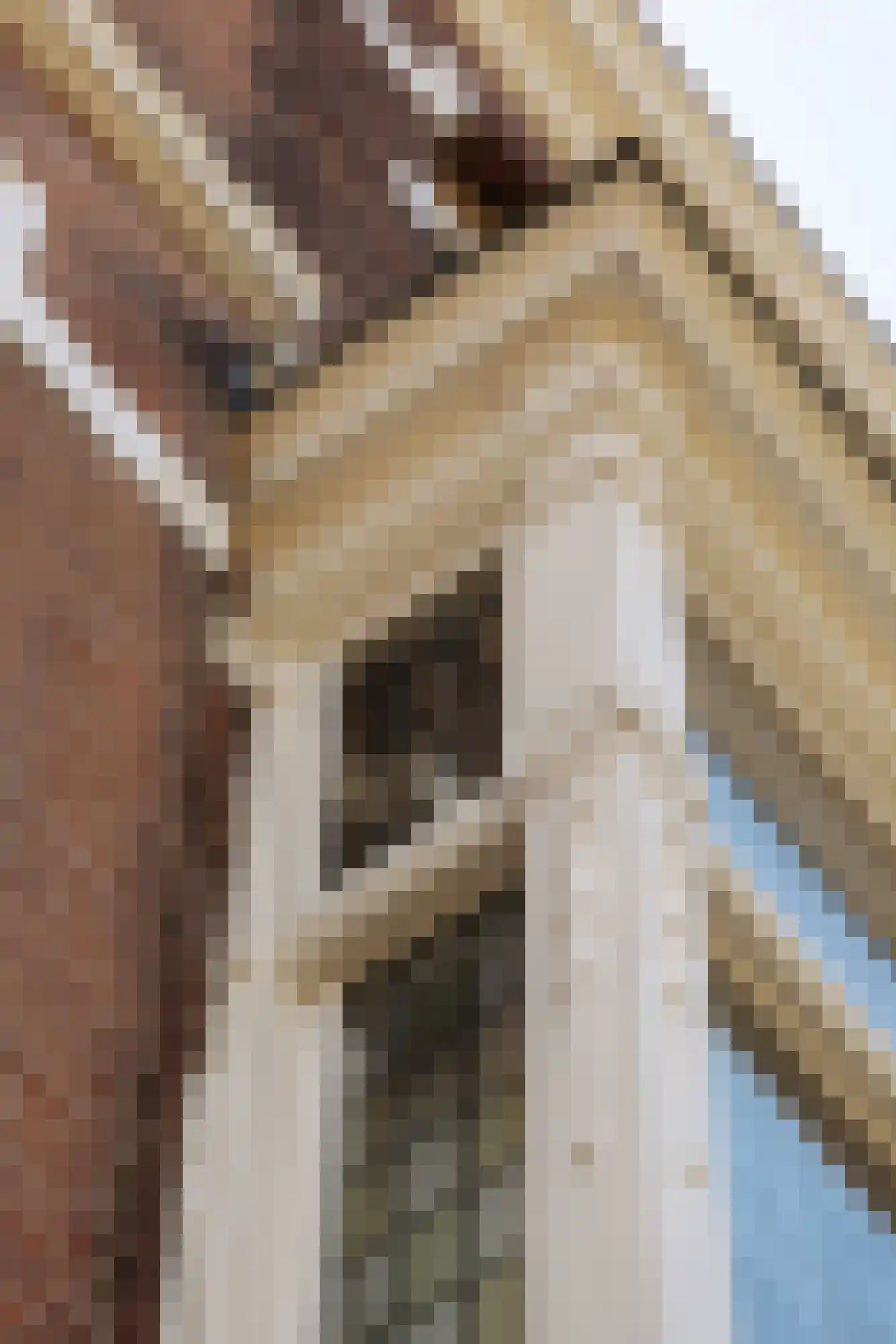 Sweelinckplein 74 A Den Haag thumbnail 62