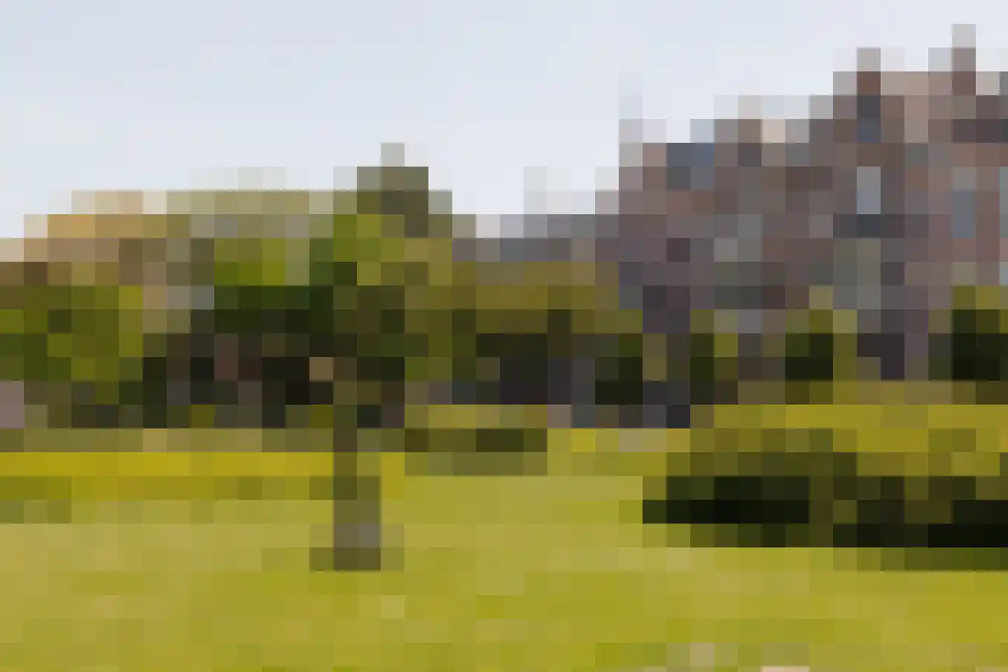 Sweelinckplein 74 A Den Haag thumbnail 63