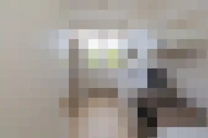 Sweelinckplein 74 Alphen aan den Rijn thumbnail 10