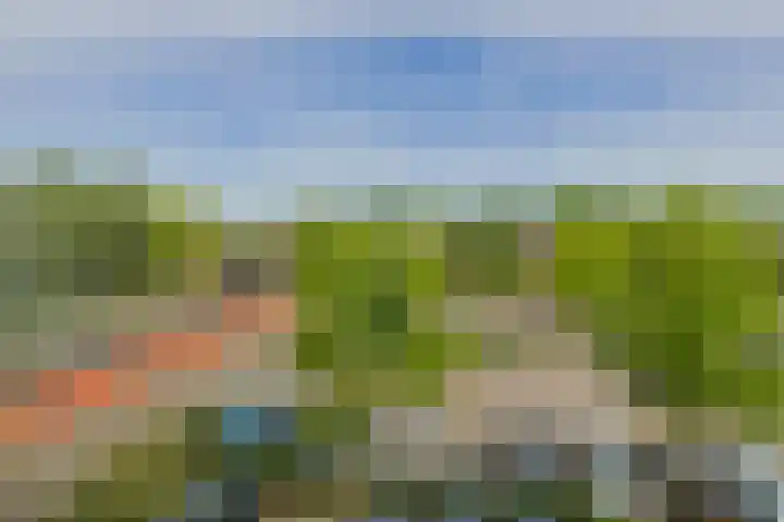 Sweelinckplein 74 Alphen aan den Rijn thumbnail 25