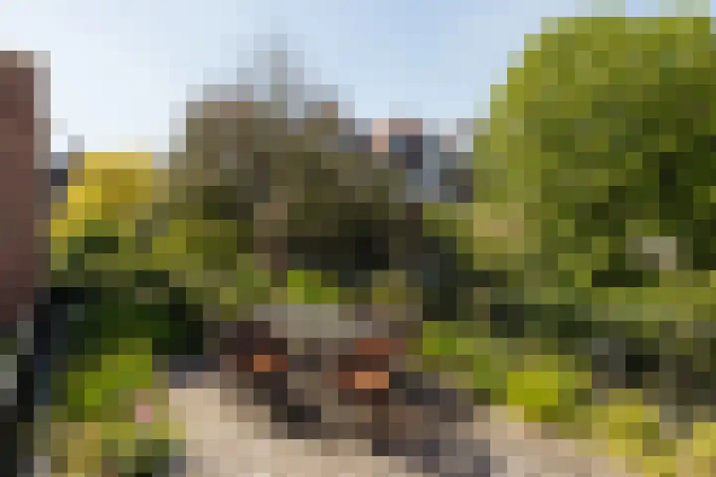 Sweelinckplein 74 C Den Haag foto 3