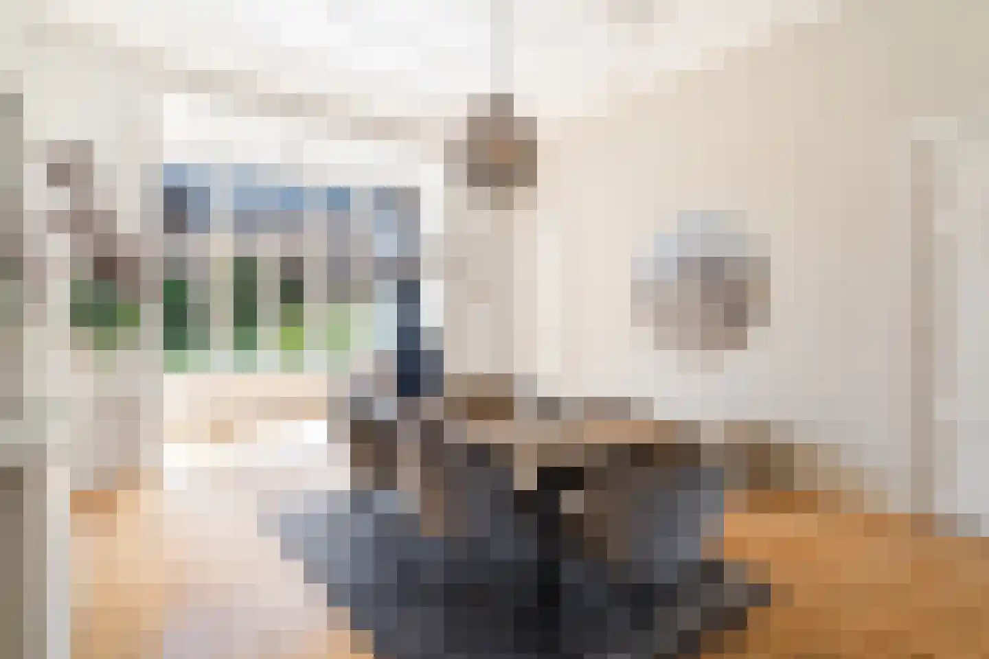 Sweelinckplein 76 Den Haag thumbnail 45