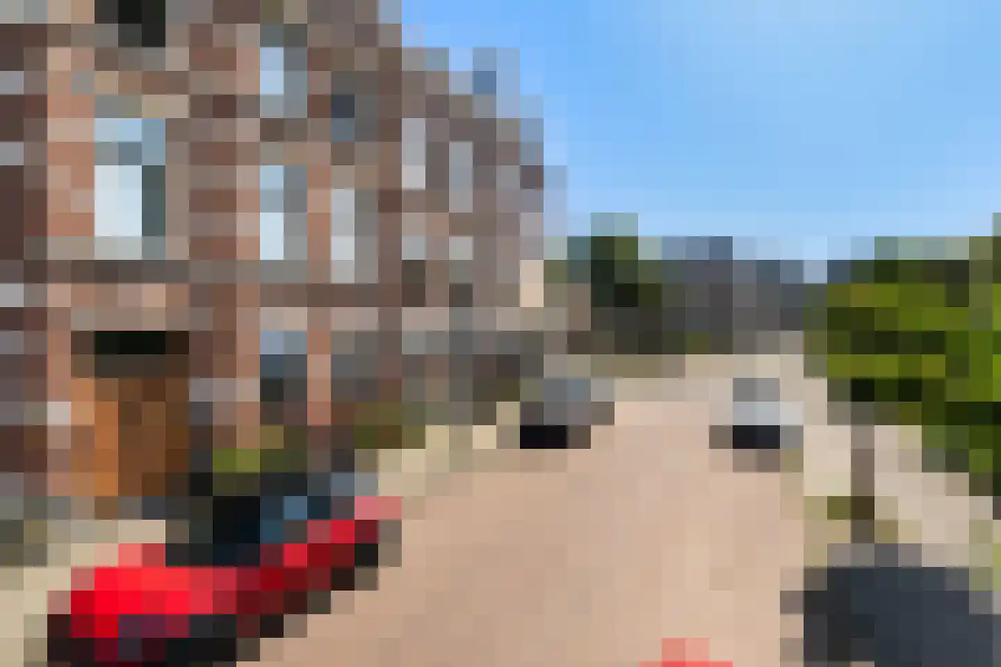 Sweelinckplein 76 Den Haag thumbnail 6