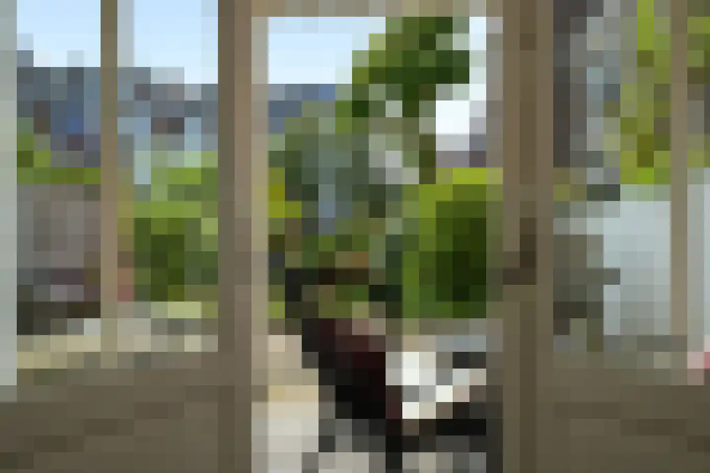 Sweelinckplein 78 Den Haag thumbnail 12