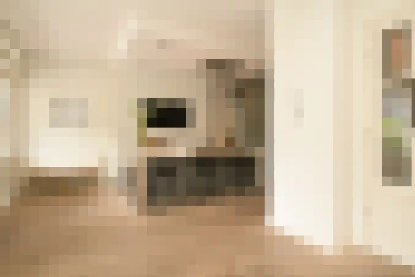 Sweelinckplein 78 Den Haag thumbnail 6