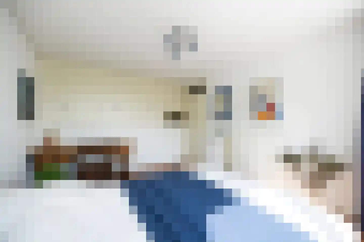 Sweelinckplein 8 's-Hertogenbosch thumbnail 37