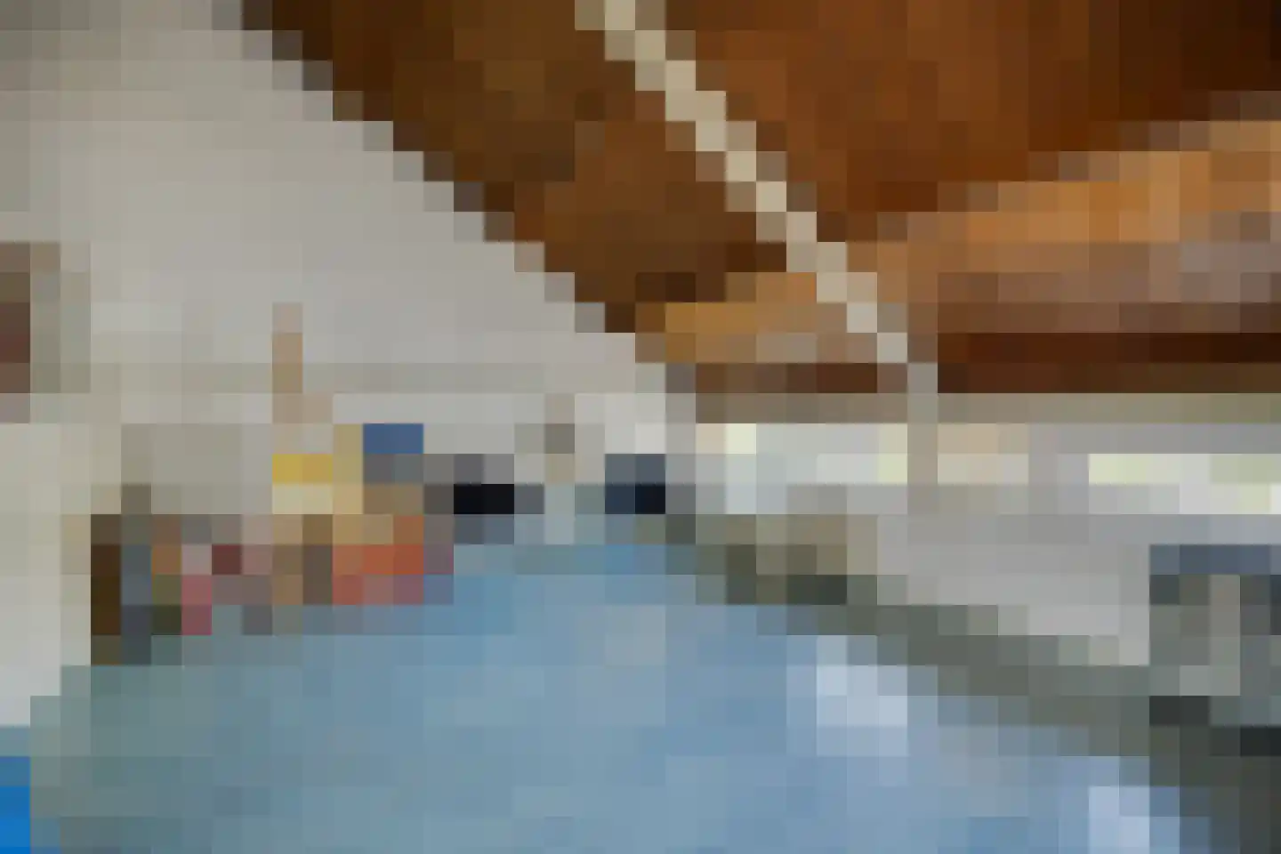 Sweelinckplein 8 's-Hertogenbosch thumbnail 41
