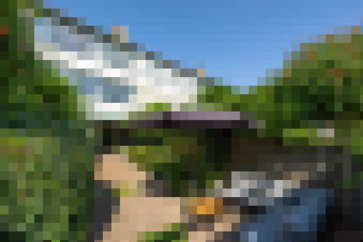 Sweelinckplein 8 's-Hertogenbosch thumbnail 47