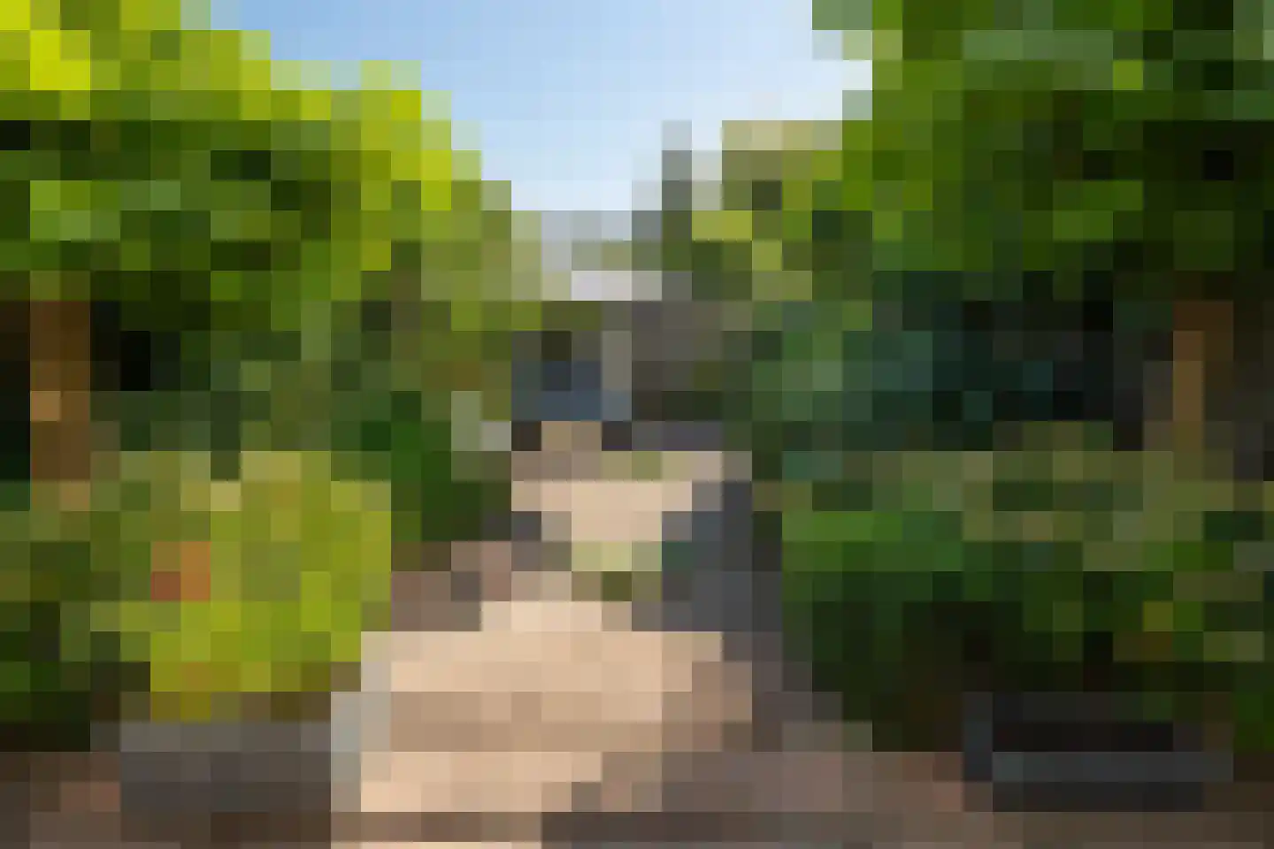 Sweelinckplein 8 's-Hertogenbosch thumbnail 50