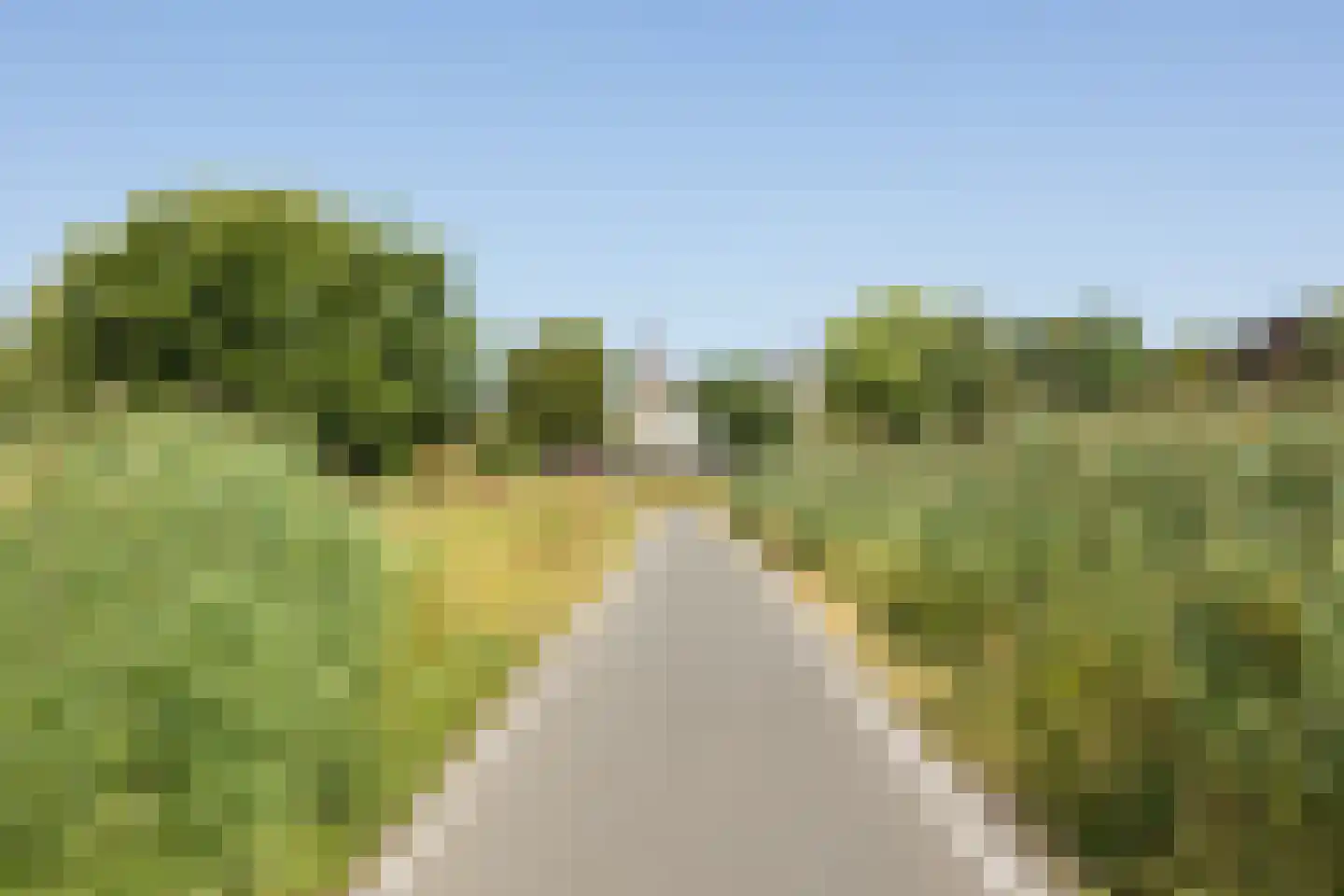 Sweelinckplein 8 's-Hertogenbosch thumbnail 58