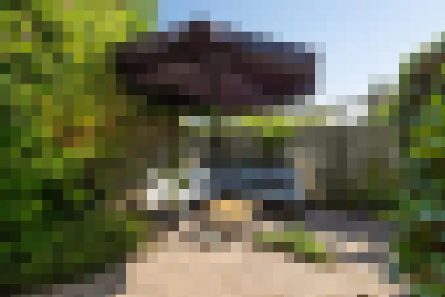 Sweelinckplein 8 's-Hertogenbosch thumbnail 6