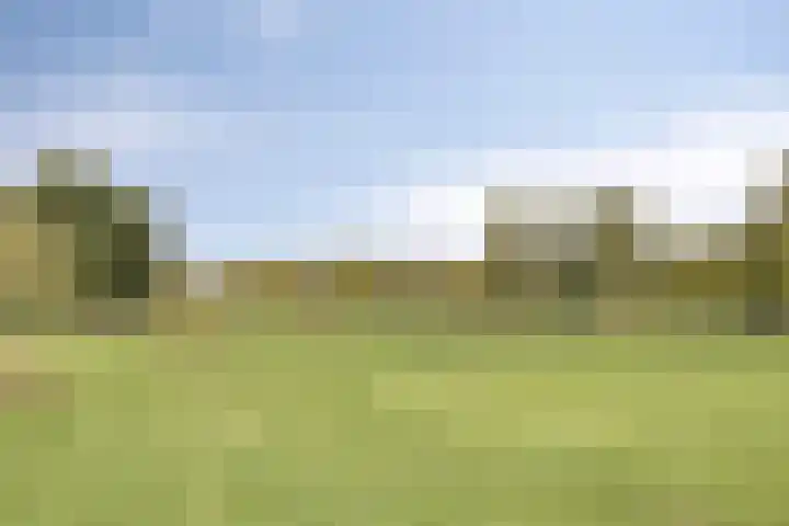 Sweelinckplein 86 's-Hertogenbosch thumbnail 28