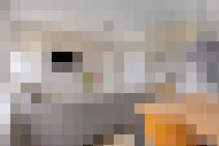 Sweelinckplein 86 's-Hertogenbosch thumbnail 5