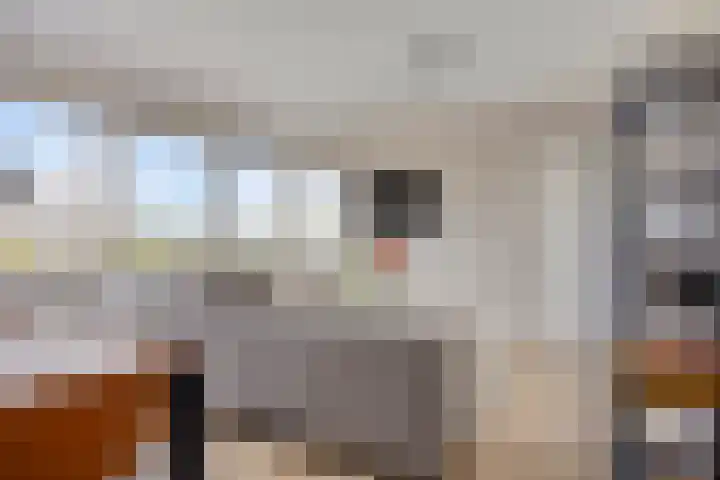 Sweelinckplein 86 's-Hertogenbosch thumbnail 6