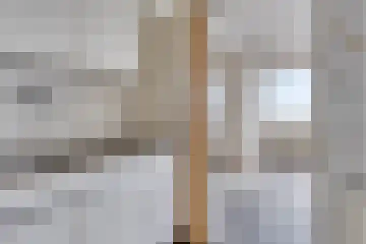 Sweelinckplein 87 's-Hertogenbosch thumbnail 11