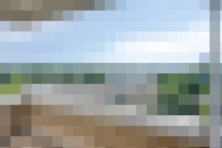 Sweelinckplein 87 's-Hertogenbosch thumbnail 13