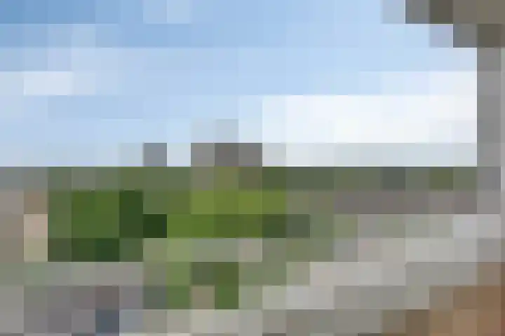 Sweelinckplein 87 's-Hertogenbosch thumbnail 14