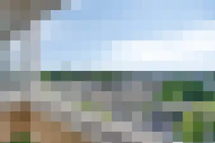 Sweelinckplein 87 's-Hertogenbosch thumbnail 18