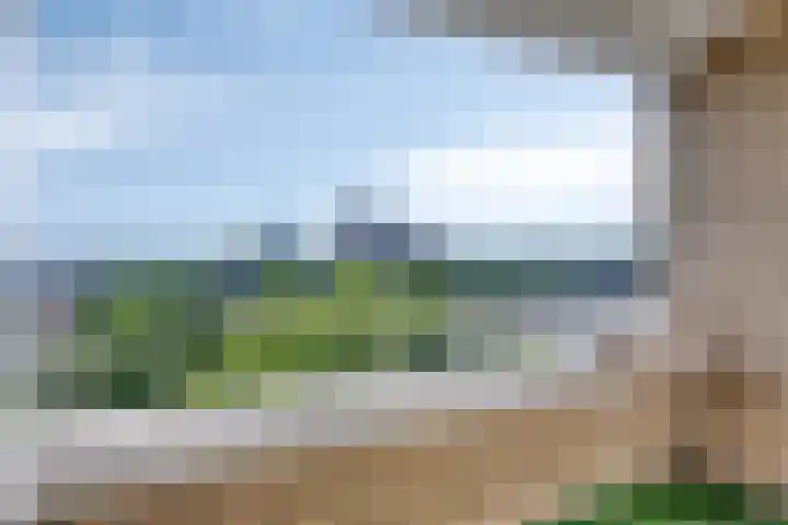 Sweelinckplein 87 's-Hertogenbosch thumbnail 19