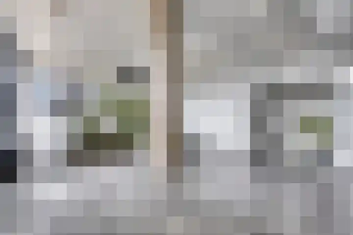 Sweelinckplein 87 's-Hertogenbosch thumbnail 21