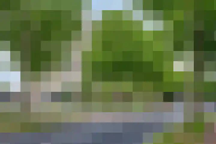 Sweelinckplein 87 's-Hertogenbosch thumbnail 23