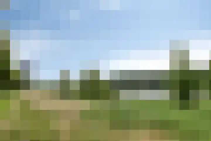 Sweelinckplein 87 's-Hertogenbosch thumbnail 24