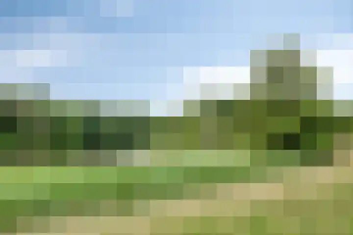 Sweelinckplein 87 's-Hertogenbosch thumbnail 25