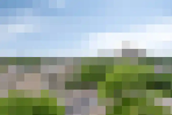Sweelinckplein 87 's-Hertogenbosch thumbnail 6