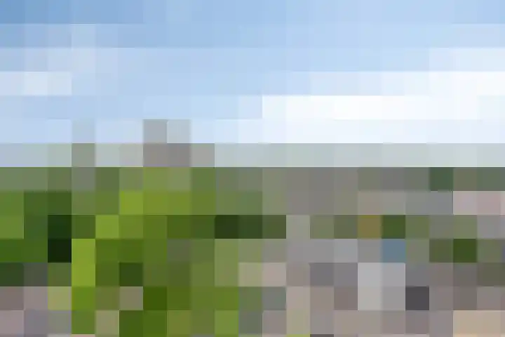 Sweelinckplein 87 's-Hertogenbosch thumbnail 7
